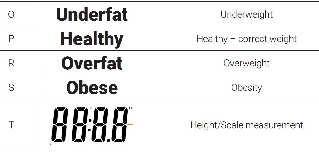 HOFFEN-BFS-2338-B-Analytical-Scale-09