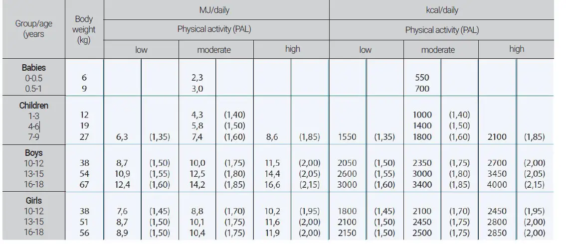 HOFFEN-BFS-2338-B-Analytical-Scale-20