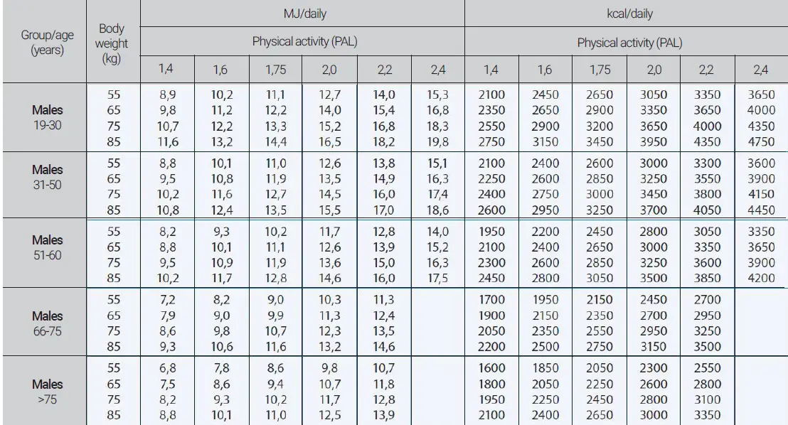 HOFFEN-BFS-2338-B-Analytical-Scale-21