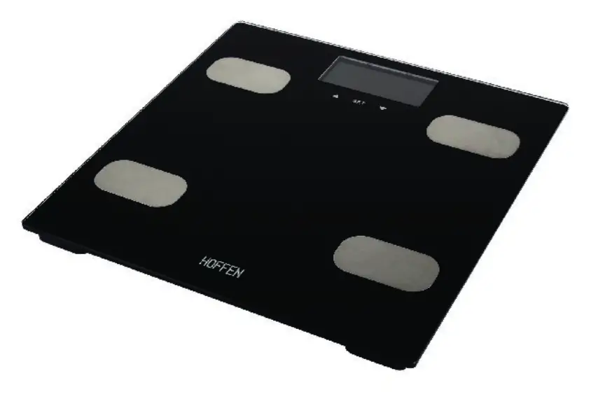HOFFEN-BFS-2338-B-Analytical-Scale-product-image