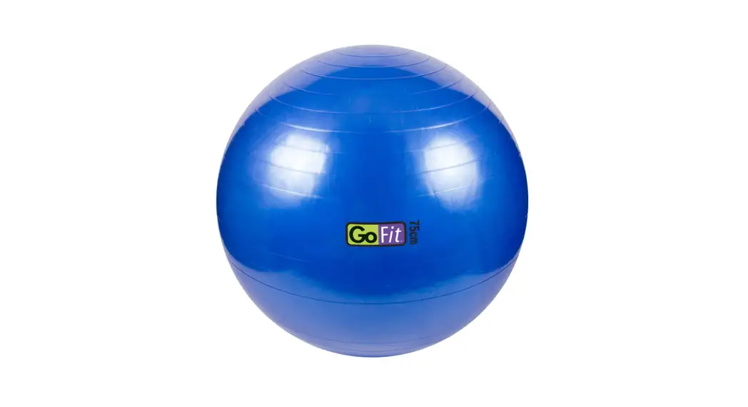 Gofit Stability Ball Instruction Manual Gofit Stability Ball Instruction Manual