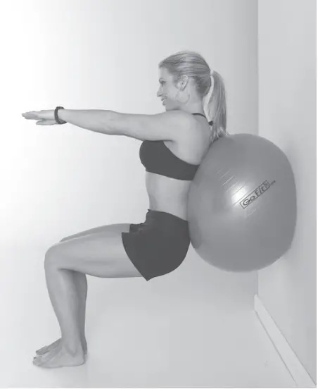 GoFit Stability Ball - fig 1