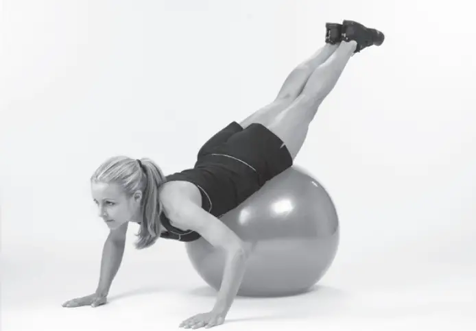 GoFit Stability Ball - fig 2