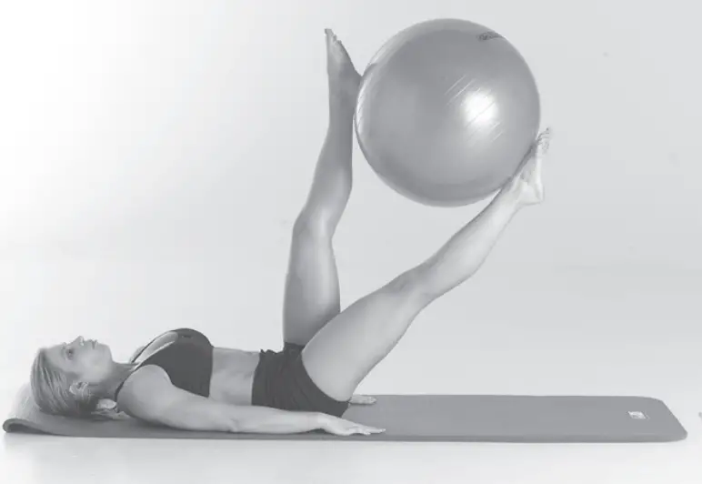 GoFit Stability Ball - fig 5