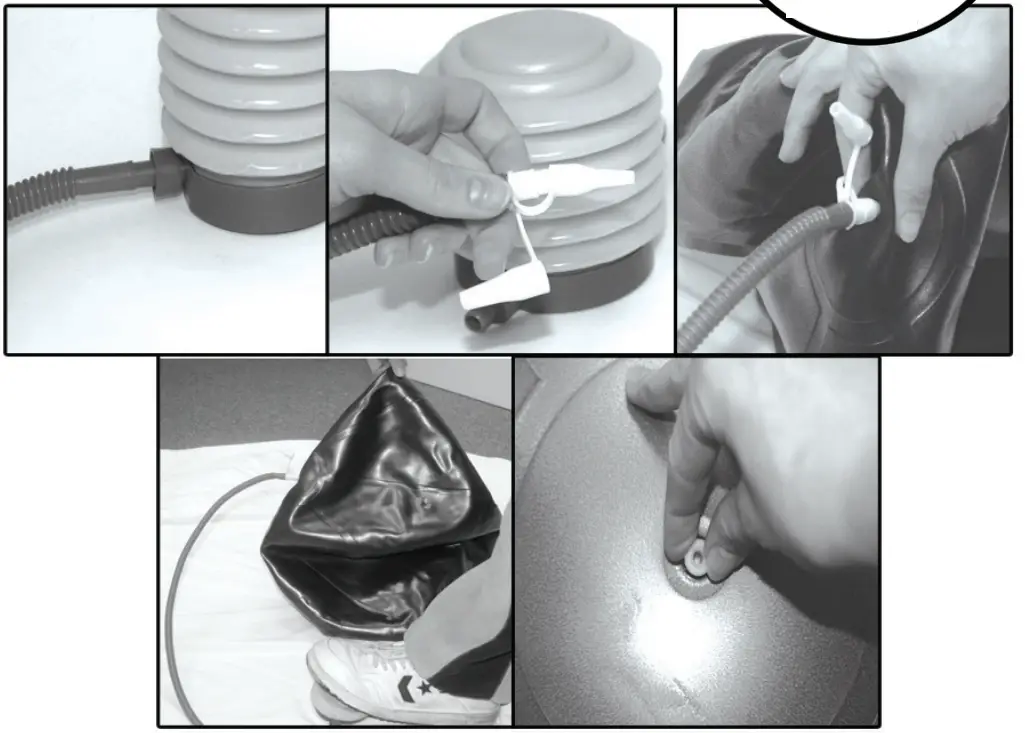 GoFit Stability Ball - fig