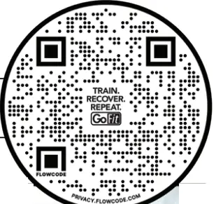 GoFit Stability Ball - qr code
