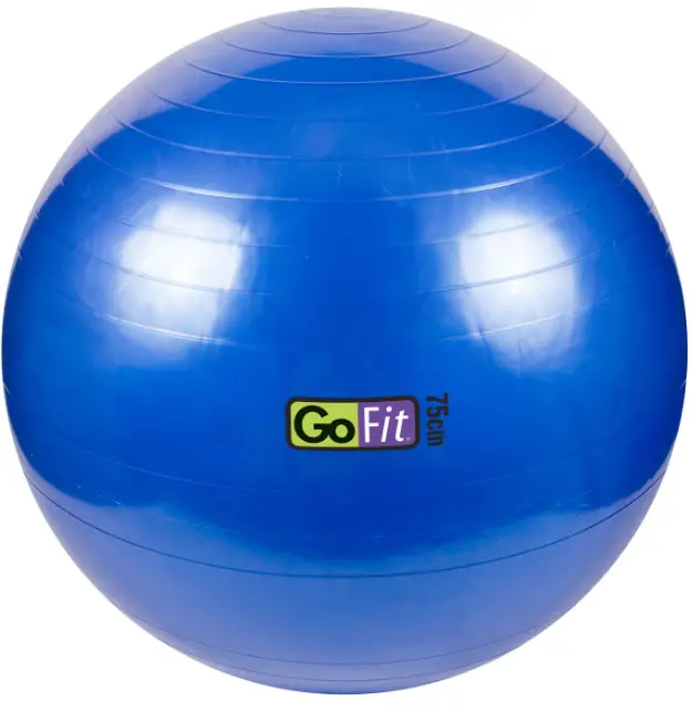 GoFit Stability Ball