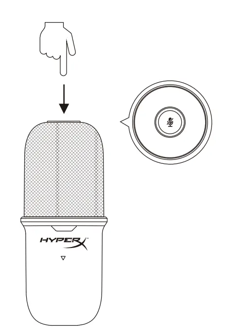 Muting the Microphone