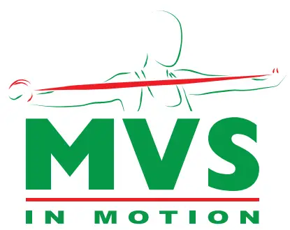 MoVeS - logo