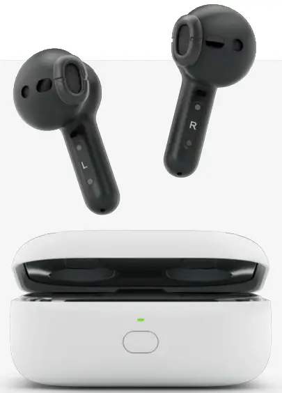 Amazon Echo Buds Wireless Earbuds - eare bat