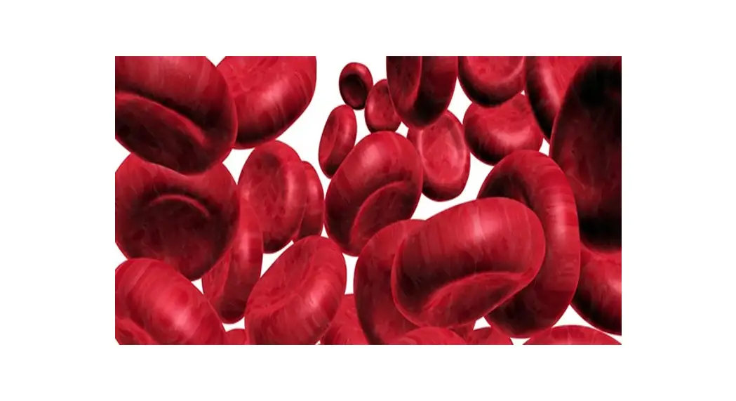 Quest Diagnostics Hereditary Thrombophilia User Guide Quest Diagnostics Hereditary Thrombophilia User Guide