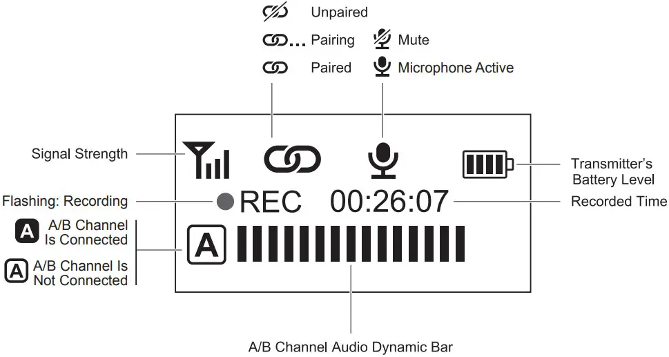 Screen Display - Transmitter (TX)