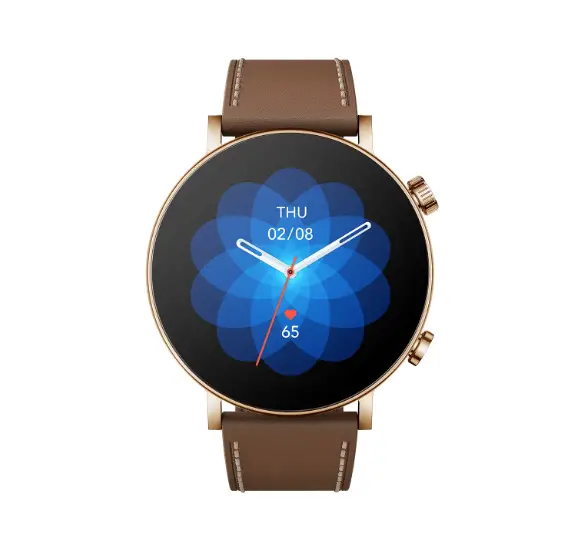 Amazfit GTR 3 Pro Limited Edition