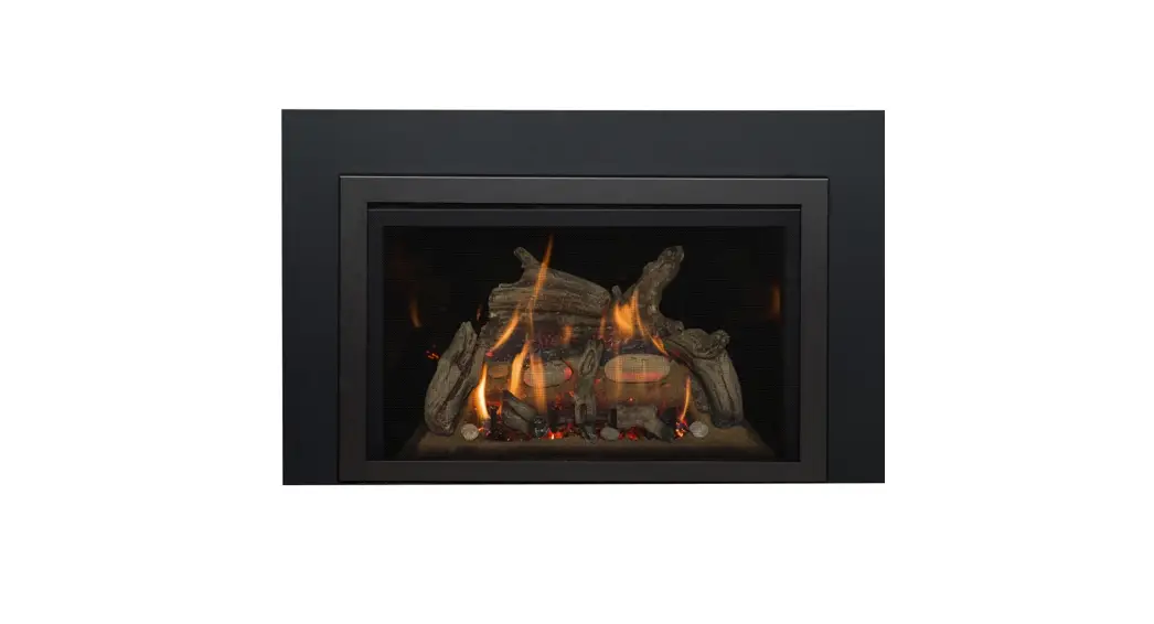 Kozy Heat Roosevelt 29 Direct Vent Insert Instructions