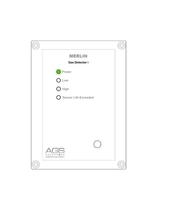 Ags Carbon Monoxide Merlin Gas Detector I Instruction Manual Ags Carbon Monoxide Merlin Gas Detector I Instruction Manual