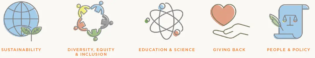 ergobaby-Omni-Dream-Baby-Carrier-06