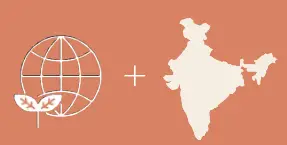 ergobaby-Omni-Dream-Baby-Carrier-11