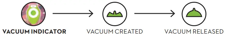 Creating and Releasing an Instant Vacuum