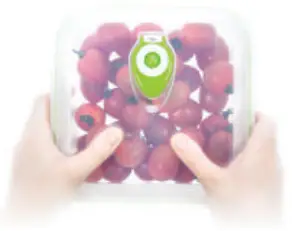 Creating and Releasing an Instant Vacuum