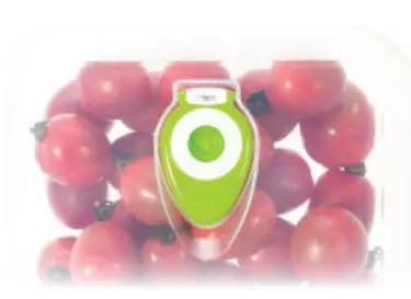 Creating and Releasing an Instant Vacuum