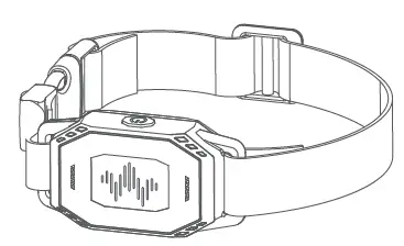 Quanzhou-Purplebox-TFX1-Dog-Training-Collar-2