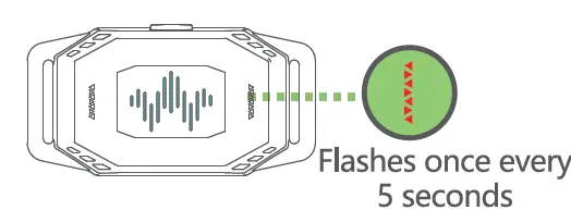 Quanzhou-Purplebox-TFX1-Dog-Training-Collar-47