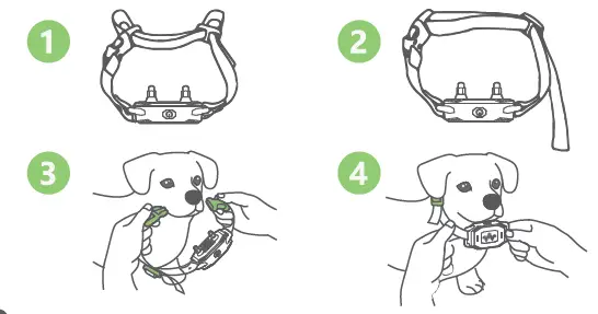 Quanzhou-Purplebox-TFX1-Dog-Training-Collar-57