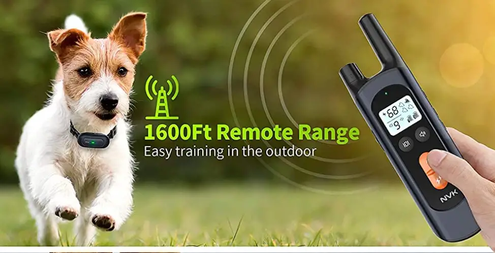 Quanzhou Purplebox Tfx1 Dog Training Collar User Guide