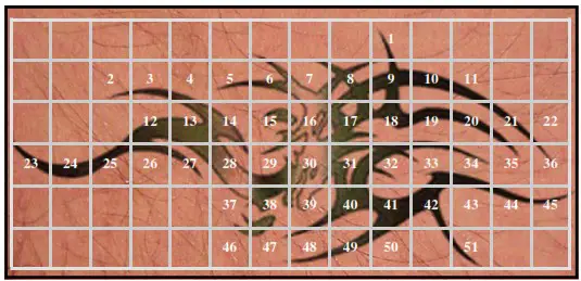 Avance Beauty IPL350 SCR E Light Flux Professional IPL Scar Reduction System - Tattoo Removal 2