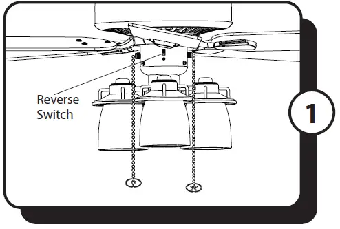 PROMINENCE-HOMES-50585-Indoor-Ceiling-Fan-fig- (25)