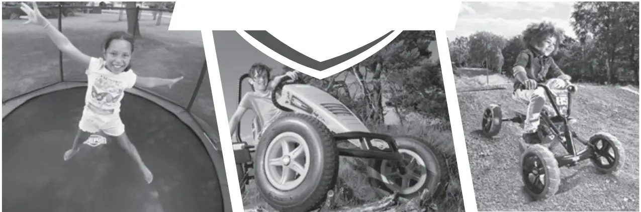 BERG 49903031 Champion InGround 330 - fig 13