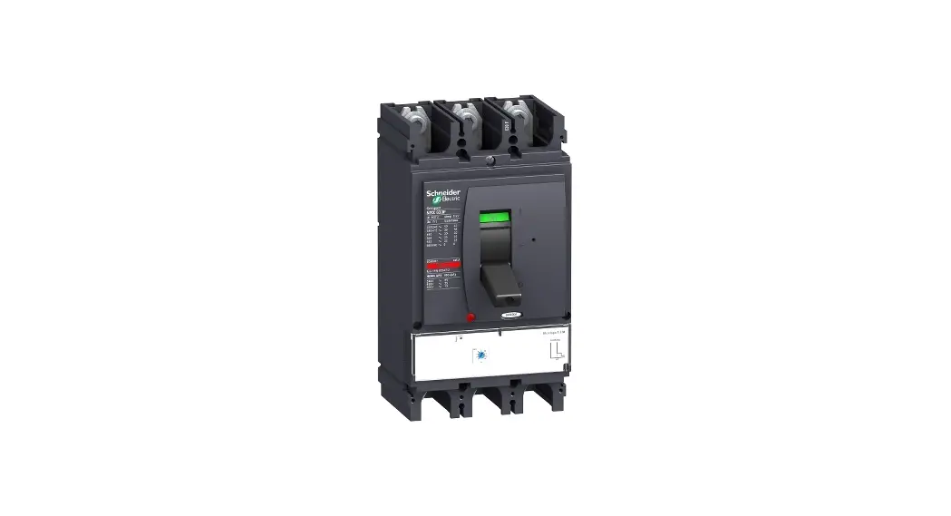 Schneider Electric Nsx630n Circuit Breakers Installation Guide
