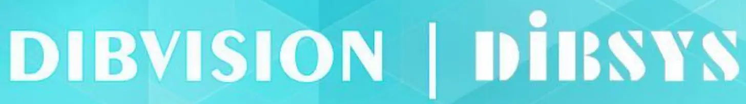 DIBVISIONS Logo