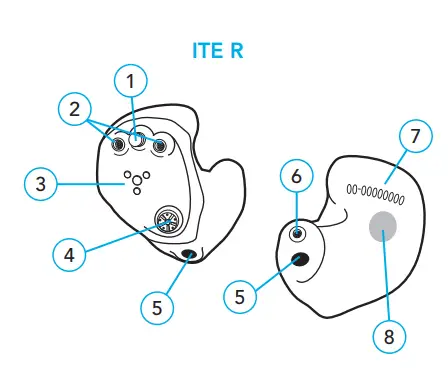 Meet your hearing aids