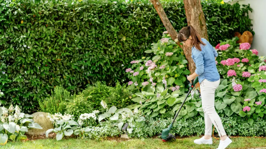 Bosch Easygrasscut 18v-230 Rechargeable Battery Grass Trimmer Instruction Manual Bosch Easygrasscut 18v-230 Rechargeable Battery Grass Trimmer Instruction Manual