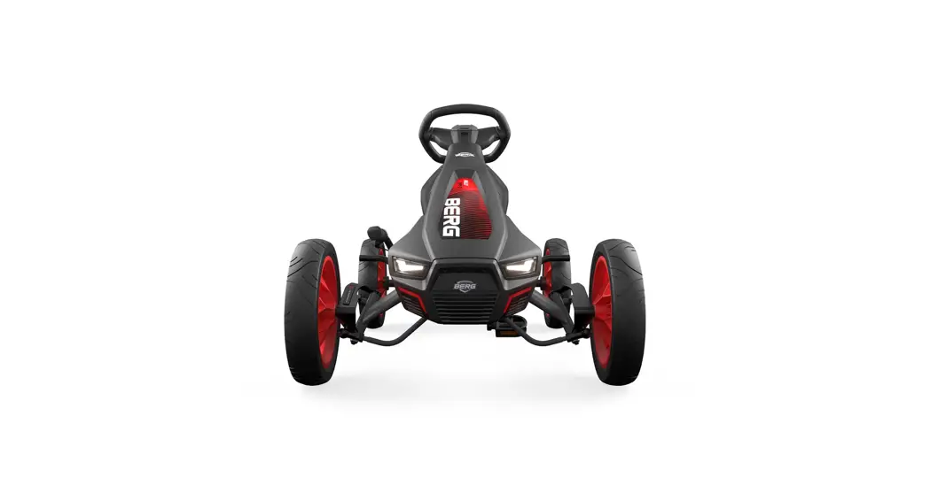 Berg 49.90.00.34 Rally Apx Red 3 Gears User Manual Berg 49.90.00.34 Rally Apx Red 3 Gears User Manual