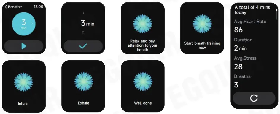 EGQINR IDW13 Smart Watch - Function Description 12