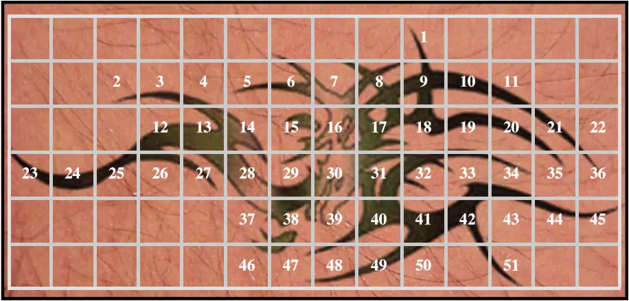 Avance Beauty - The Treatment Procedure