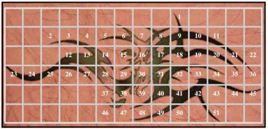 FIG 19 The Treatment Procedure.JPG