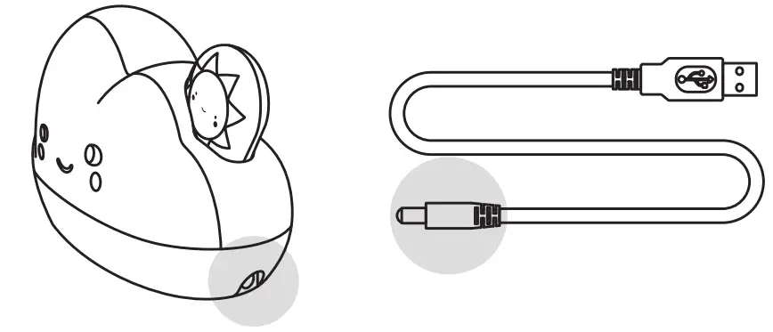 USB Cord