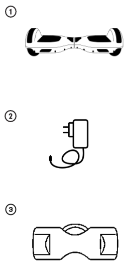 WEELMOTION-D02-Hoverboard-fig-1