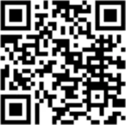 Bebe Stars 9505 - QR Code