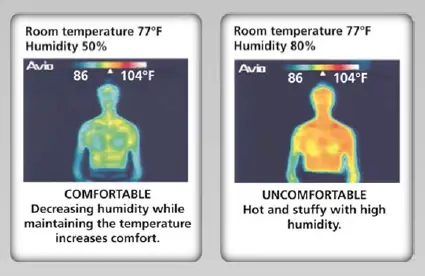 Daikin-Quaternity-Series-Mini-Splits-fig-3