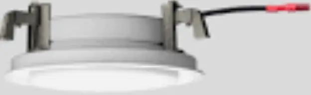 Ceiling and Wall Luminaire