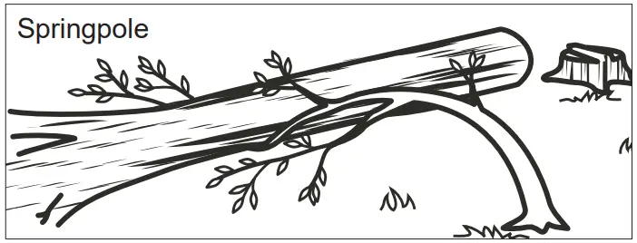 milwaukee M18 Fuel Hatchet 8 Pruning Saw - Springpole