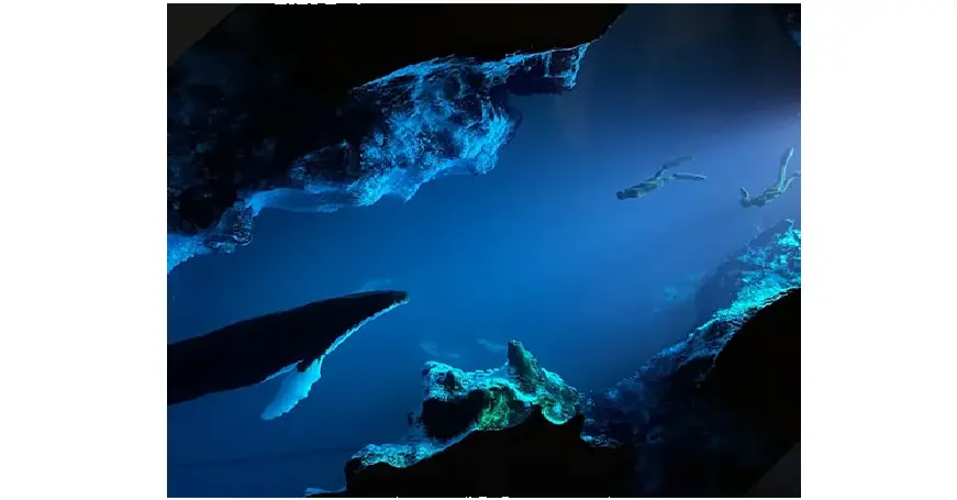 Smania Ambient Night Light Sea Life Instructions