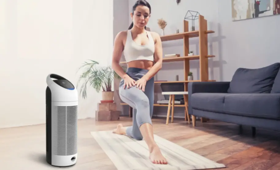 Boneco P300 Air Purifier Instruction Manual