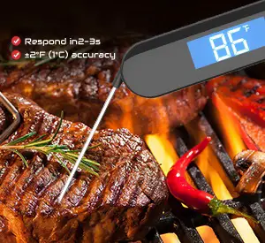 iKanzi-Meat-Digital-Thermometer-fig-2