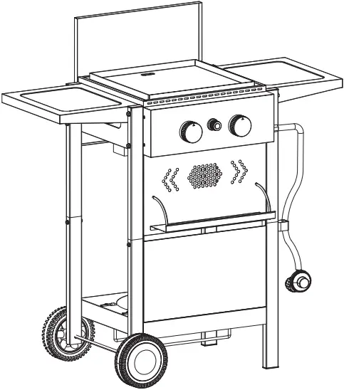 Captiva Designs E02GR010 2 Burner Propane Flat Top Gas Grill in Black with Lid and Grate