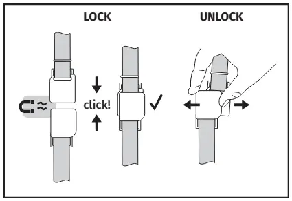 BELT WITH MAGNETIC CLOSURE